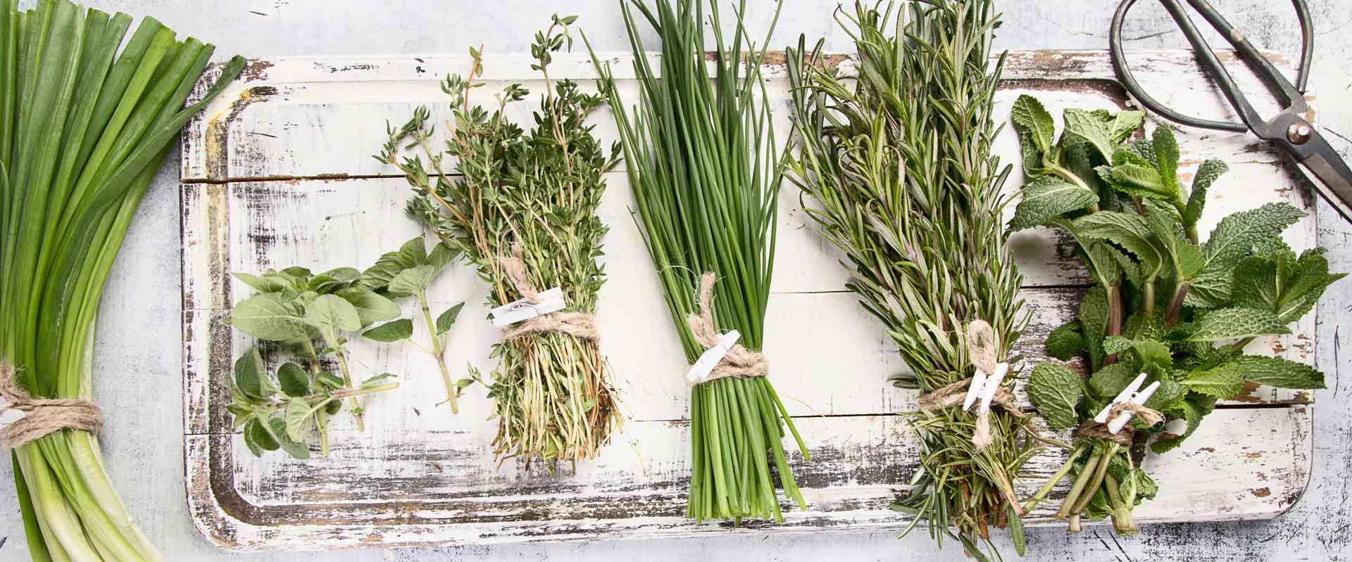 A-selection-of-Cretan-herbs-on-wooden-tray