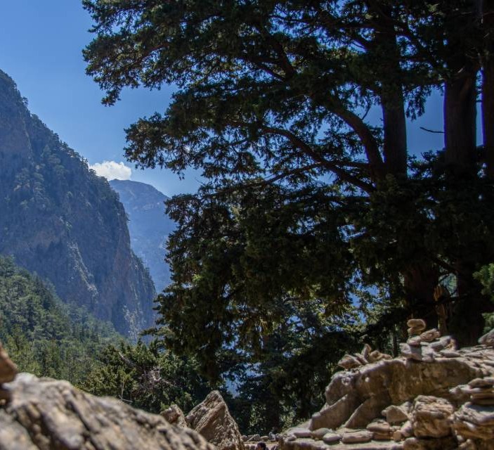 Felsen-Baeume-Berghaenge-Tal